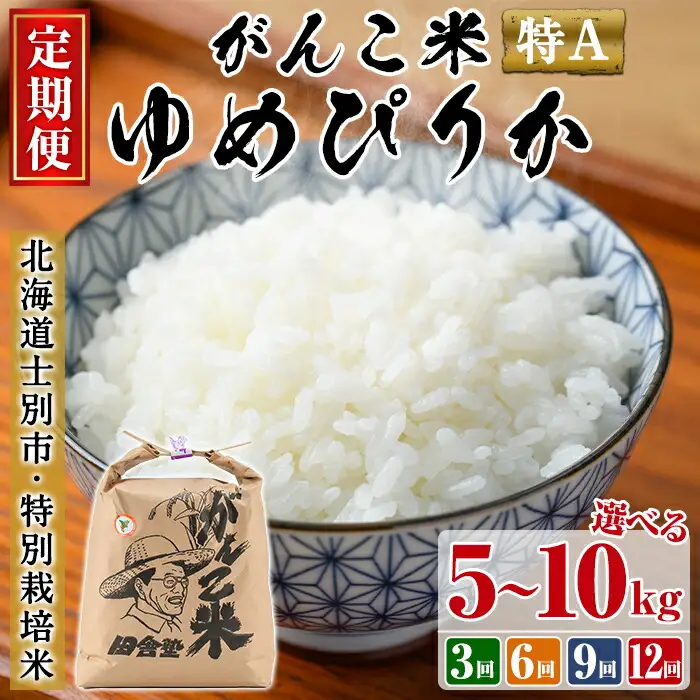 【D7059】＜令和7年産 先行予約！＞《定期便・全3回》田舎塾特別栽培米「がんこ米ゆめぴりか」(5kg×3回・計15kg) 【2025年10月中旬以降順次発送】 米 お米 白米 北海道産 北海道米 ゆめぴりか 特A 一等級 ごはん おこめ コメ 単一原料米 定期便 【田舎塾】