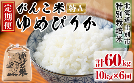 【F7031】＜令和7年産 先行予約！＞《定期便・全6回》田舎塾特別栽培米「がんこ米ゆめぴりか」(10kg×6回・計60kg) 【2025年10月中旬以降順次発送】 米 お米 白米 北海道産 北海道米 ゆめぴりか 特A 一等級 ごはん おこめ コメ 単一原料米 定期便 【田舎塾】