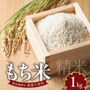 もち米1kg N0182-YA0474