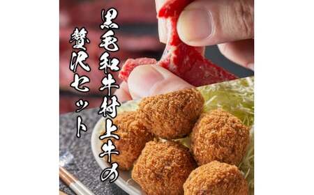 名店「吉祥寺さとう」で修行した名物丸メンチカツ 5個 ＆黒毛和牛ビーフジャーキー50g×2袋 セット 1031007