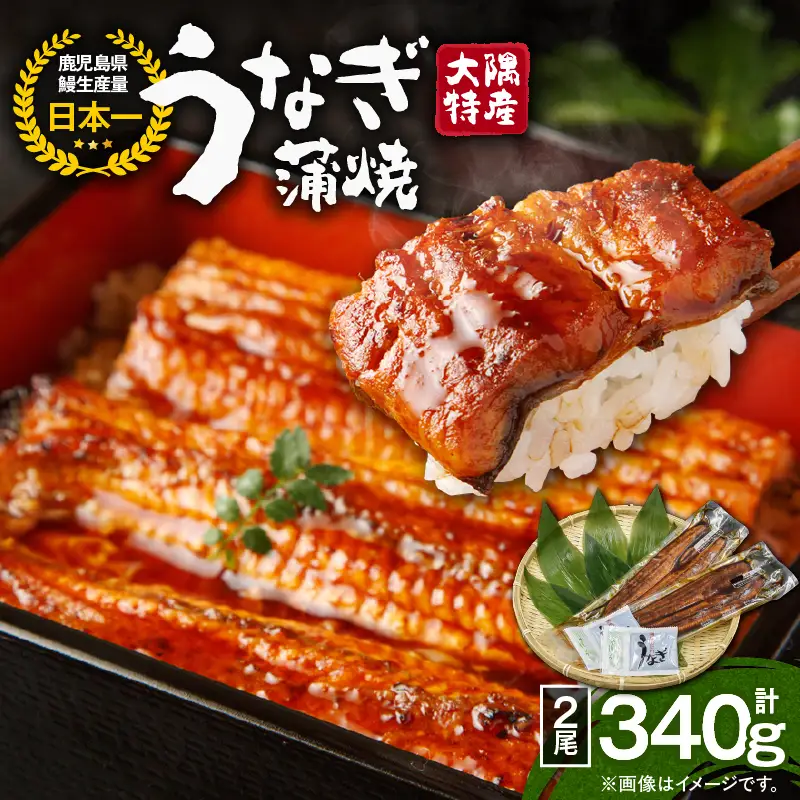【 土用の丑の日特集 】 1386 大隅特産 うなぎ蒲焼 2尾（340g） KN060-001-01 魚 冷凍 鰻