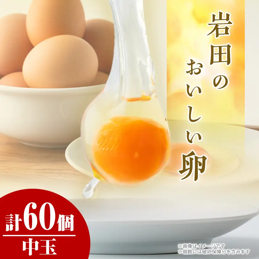 岩田のおいしい卵　実用中玉55個+破卵保障5個 (10個入り×6パック)_卵・乳製品 卵  たまご タマゴ 玉子_【配送不可地域：離島】【1081154】