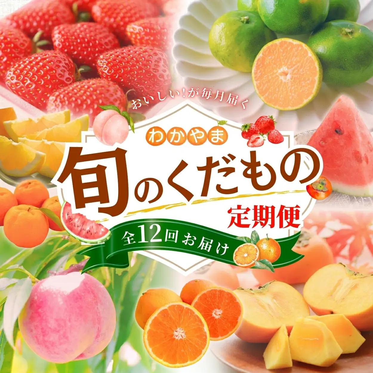 定期便【全12回/毎月お届け】 わかやま旬のくだもの定期便 【Ｓ】 （配送日時指定不可）  / 定期便 フルーツ みかん いちご イチゴ 清見オレンジ セミノール 河内晩柑 カラマンダリン すいか 桃 ジュース みかん 柿 完熟みかん【ard-tkb901A】