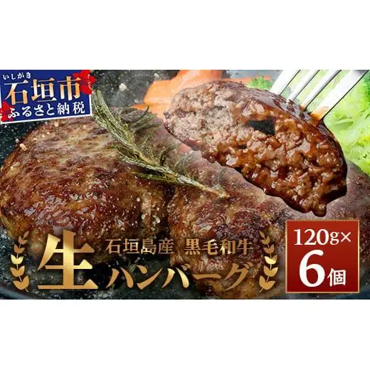 石垣島産 黒毛和牛 生ハンバーグ 120g x 6個 UN-1