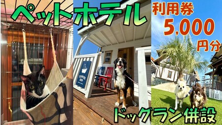 ペットホテル利用券5,000円分【1.7-14】