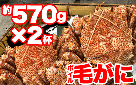 【訳あり】北海道産 冷凍ボイル毛がに（約570g×2杯）かに 蟹 かにみそ 小分け 毛蟹 海産物 魚介類 水産物応援 水産物支援 年内発送  かに 毛がに 毛ガニ 海の幸 カニ ガニ 魚介 海鮮 食品 北海道 南幌町 NP1-316