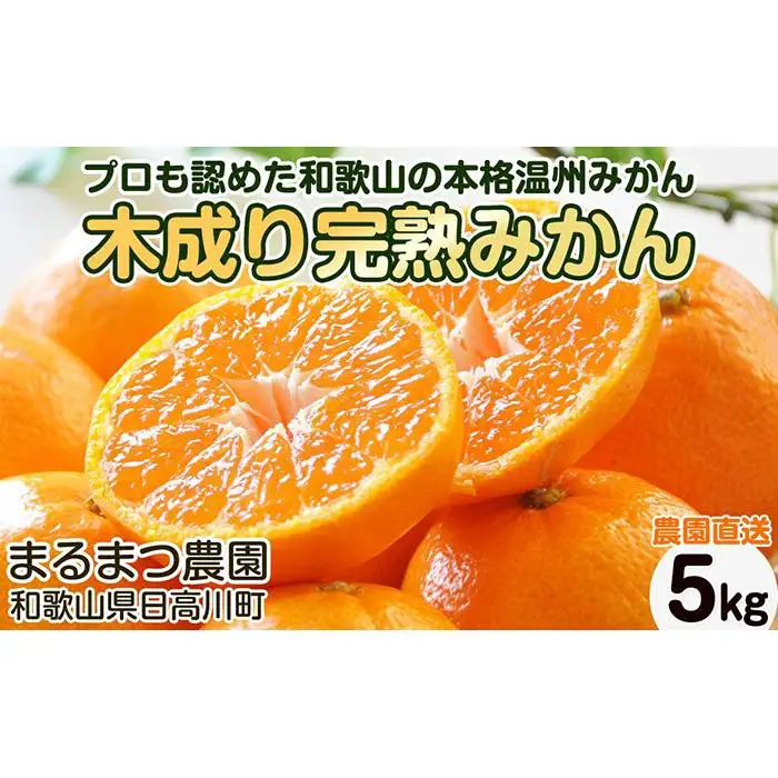 【2026年12月～2027年1月発送】濃厚完熟 木成り温州みかん 5kg ミックスサイズ 和歌山県産