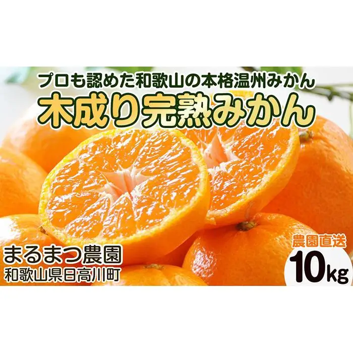 【2026年12月～2027年1月発送】濃厚完熟 木成り温州みかん 10kg ミックスサイズ 和歌山県産