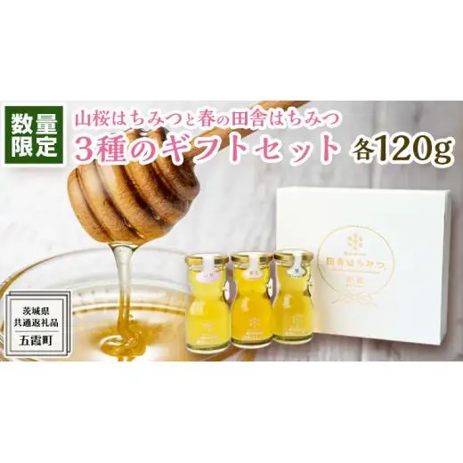 【 数量限定 】山桜 はちみつ と春の 田舎はちみつ の 3種 ギフト セット [ 結蜜 Musubi-R3山桜 120g ]（ 茨城県共通返礼品： 五霞町 ）