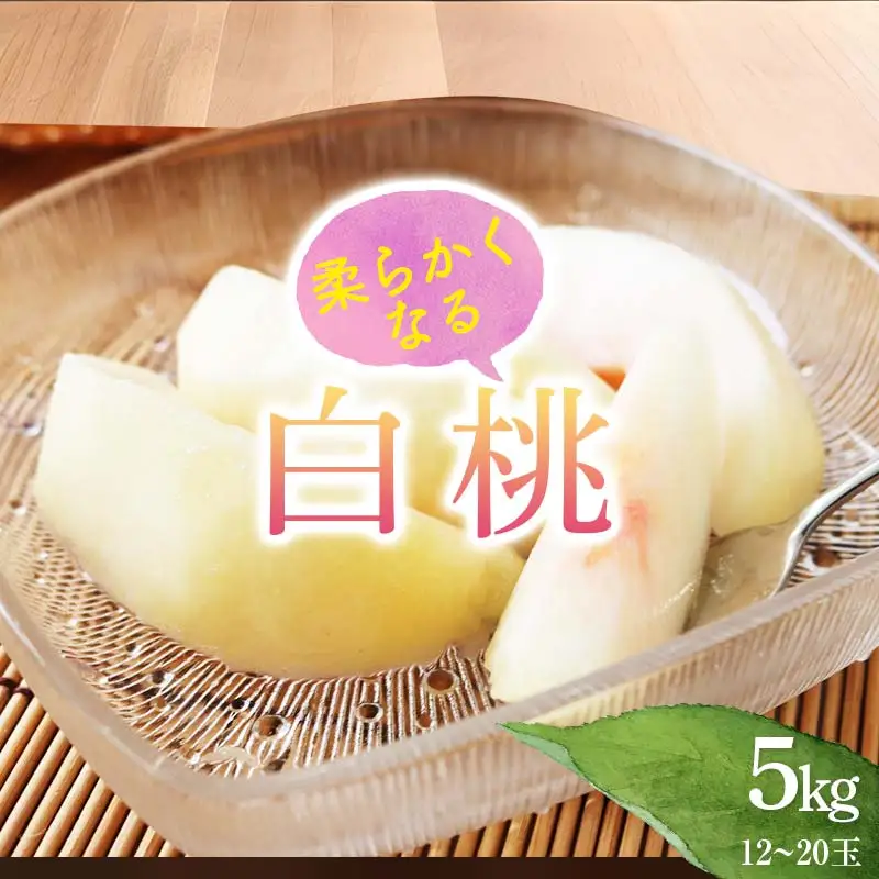 《2026年産先行受付》山形県産 白桃 秀品 5kg（12玉～20玉） 品種おまかせ 軟らかくなる桃 あかつき 川中島白桃 伊達白桃 他 もも モモ 桃 デザート フルーツ 果物 くだもの 果実 食品 山形県 FSY-2514