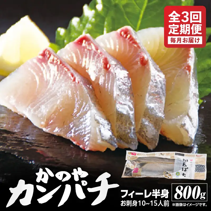 2141 【 全3回定期便 / 毎月お届け 】かのやカンパチ フィーレ半身（ お刺身10～15人前 ）800g KN001-T01 魚 カンパチ