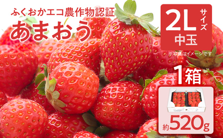 ふくおかエコ農作物認証あまおう 2Lサイズ 1箱セット あまおう イチゴ 苺 いちご フルーツ 果物 くだもの 福岡県産 お取り寄せグルメ お取り寄せ 福岡 お土産 九州 福岡土産 取り寄せ グルメ 福岡県