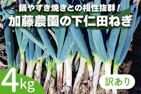 [数量限定]【訳あり】産地直送！加藤農園の下仁田ねぎ 4kg (細め) 11月下旬より順次発送 [0381]