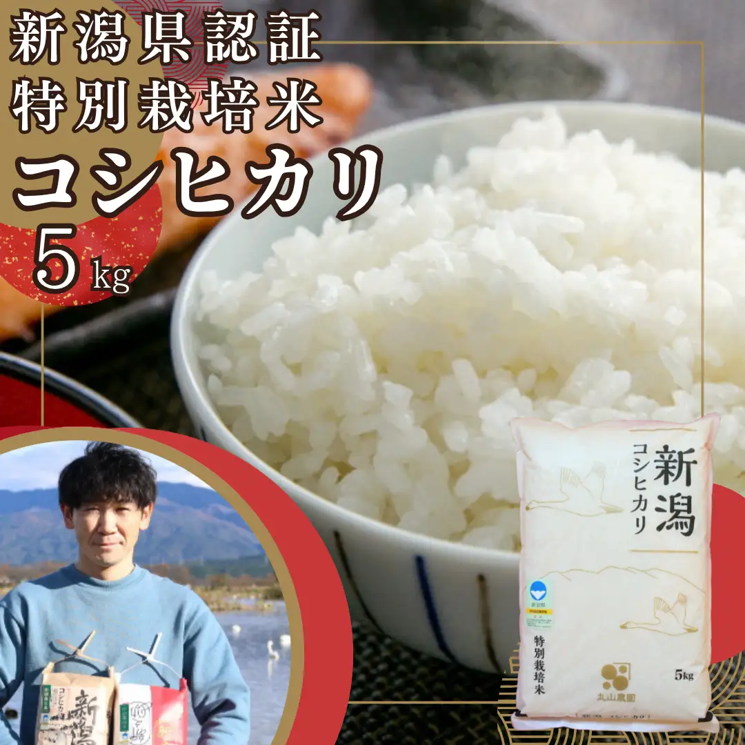 【令和7年産】【新潟県認証米】 5kg 特別栽培米 従来コシヒカリ 阿賀野市産 丸山農園 米 こめ コメ 白米 精米 3F01013