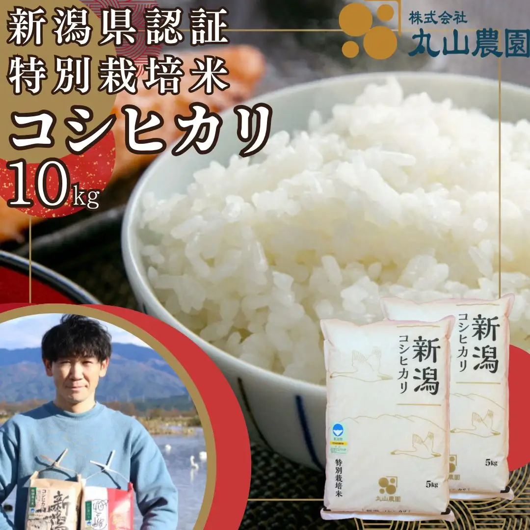 【令和8年産新米予約】【新潟県認証米】 10kg (5kg×2袋) 特別栽培米 従来コシヒカリ 阿賀野市産 丸山農園 米 こめ コメ 白米 精米 新米 新米予約 令和8年産 10月上旬より順次発送予定 3F02029
