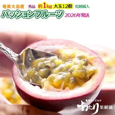 2026年発送【あたり果樹園】奄美パッションフルーツ 秀品 約1kg 果物  フルーツ