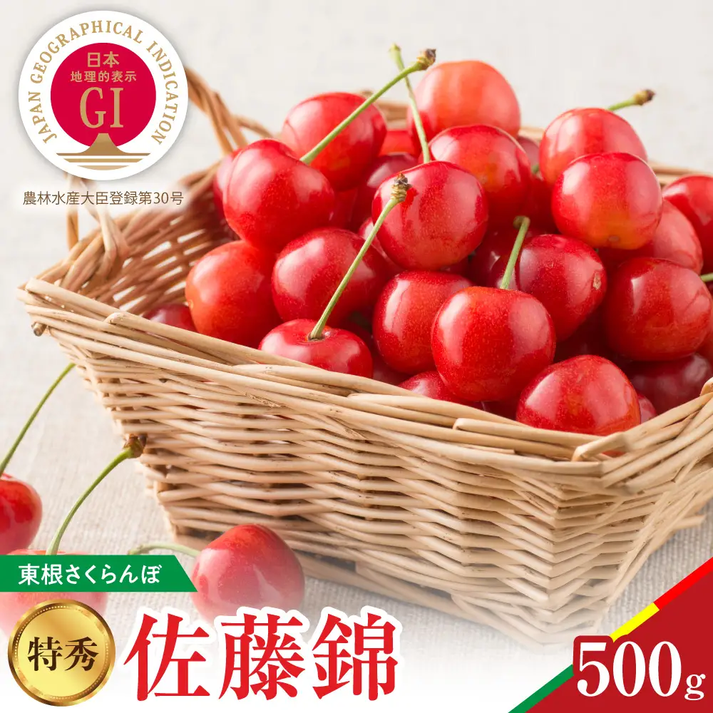 2027年産 GI東根 さくらんぼ 真の桜桃 佐藤錦  500g さくらんぼ