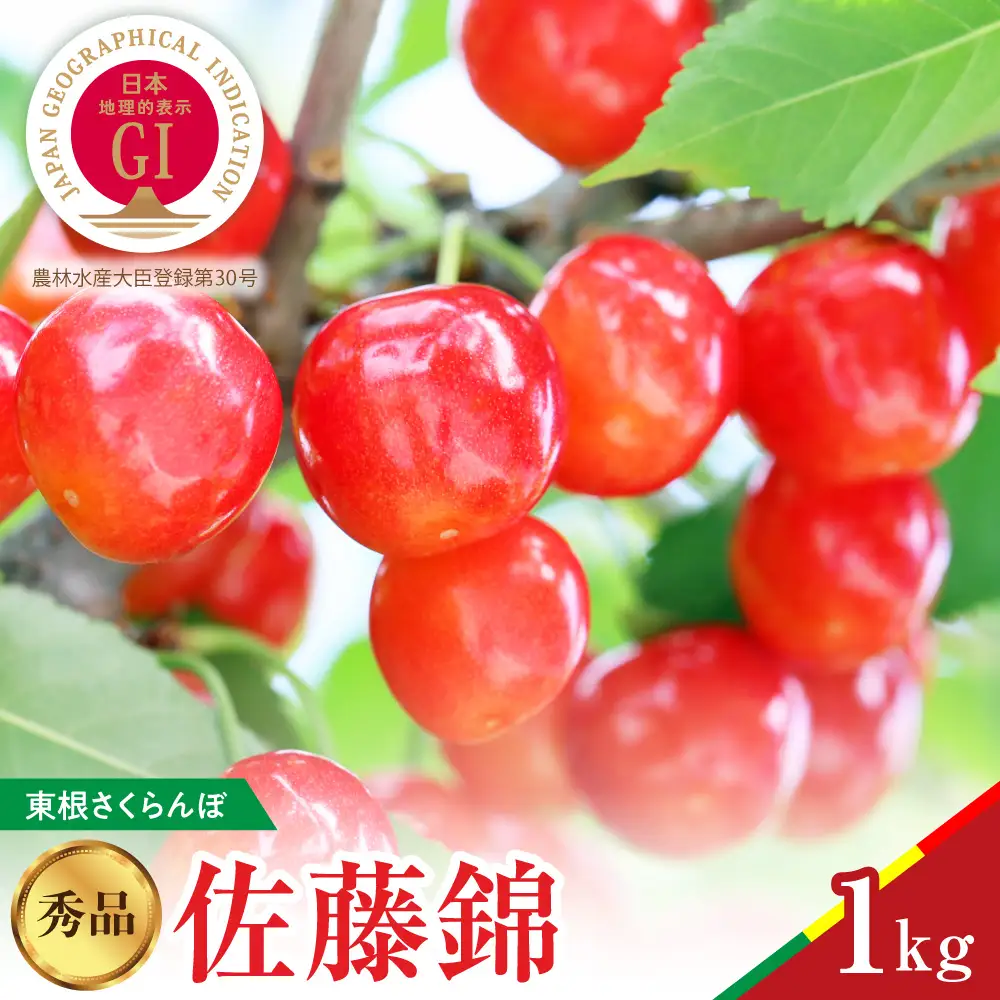 2027年産 GI東根さくらんぼ 佐藤錦 秀品 1kg さくらんぼ