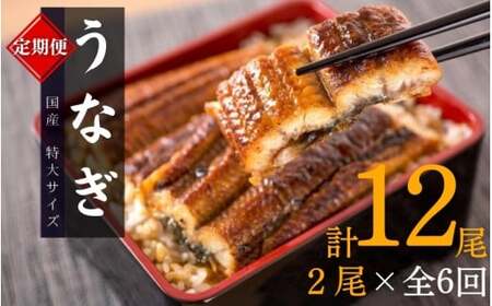 定期便【全6回/毎月お届け】大型サイズ ふっくら柔らか 国産うなぎ蒲焼き 2尾×6回 計12尾 約2040g /  うなぎ ウナギ 鰻 国産 蒲焼 蒲焼き たれ 人気 定期便 ふるさと納税【tkb310】
