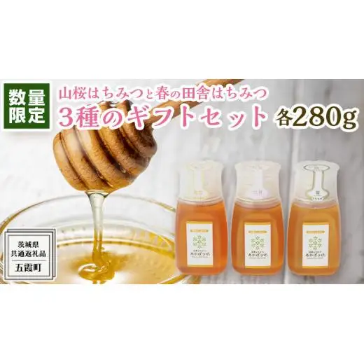 【 数量限定 】山桜 はちみつ と春の 田舎はちみつ の 3種 ギフト セット [ B3山桜 280g ]（ 茨城県共通返礼品： 五霞町 ）