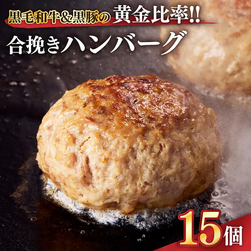 1526 黒毛和牛 & 黒豚 の 黄金比率 ！！ 合挽き ハンバーグ 15個 KN041-007 肉 豚肉 牛肉 冷凍