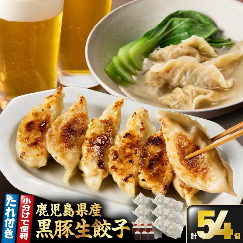1609-1 鹿児島県産 黒豚生餃子 （20g×9個×6袋） KN065-001-01 肉 豚肉 餃子 惣菜 総菜