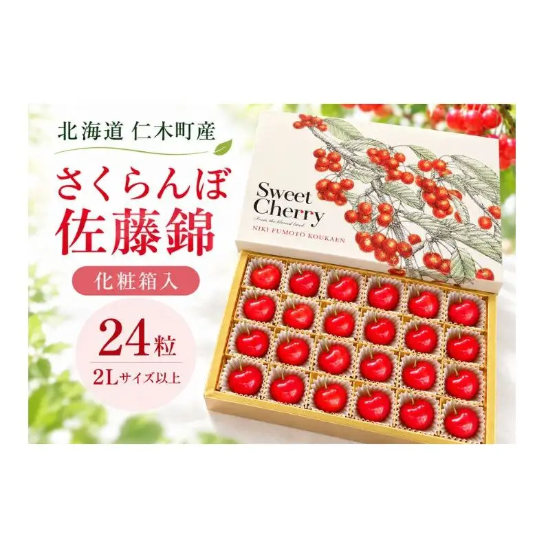 さくらんぼ 24粒 佐藤錦 2Lサイズ以上 サクランボ