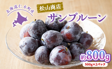 [2026年発送] 北海道仁木町産 プルーン 800g ( サンプルーン ) 厳選品 果物 フルーツ 国産 高糖度 ほどよい酸味 北海道産プルーン 国産プルーン [松山商店]