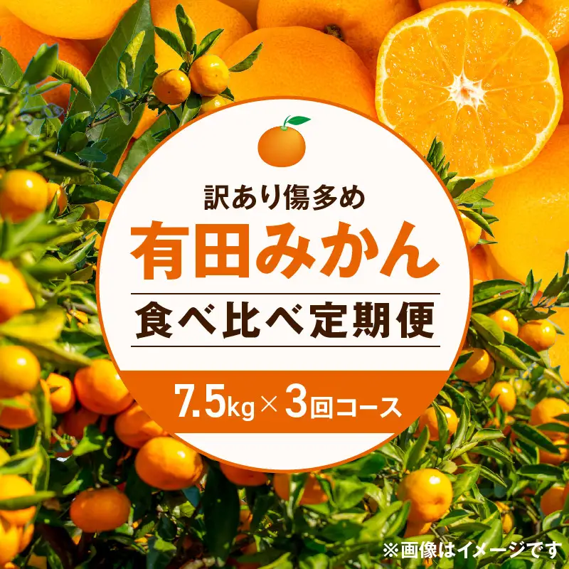 【定期便】(2026年10月発送スタート)【訳あり傷多め 約7.5kg×3回コース】有田みかん・食べくらべ3種【頒布会】 ※着日指定不可_ZF6311n