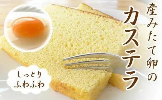 産みたて卵たっぷり！カステラ 1本
