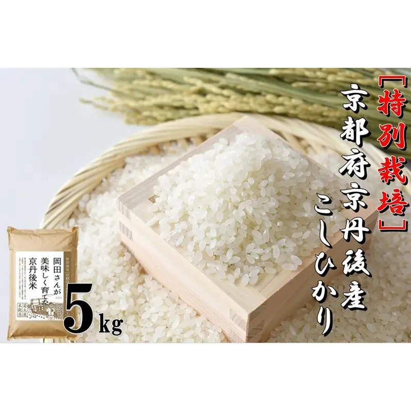 特別栽培　京都府京丹後市産こしひかり 岡田さんが美味しく育てた京丹後米 5kg 米 お米 特別栽培 国産 ご飯 定期 京都 京丹後 ふるさと納税 米 生産者応援 農家応援 送料無料