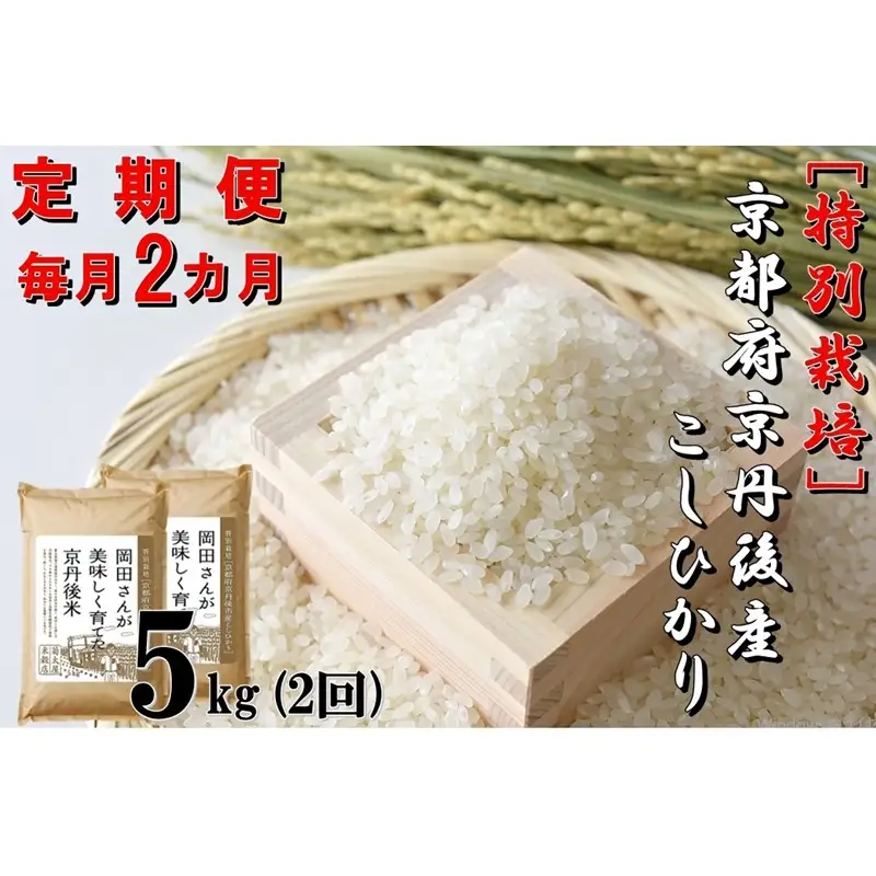 【定期便2か月】特別栽培 京都府京丹後市産こしひかり 岡田さんが美味しく育てた京丹後米 5kg×2か月 米 お米 特別栽培 国産 ご飯 定期 京都 京丹後 ふるさと納税 米 生産者応援 農家応援 送料無料
