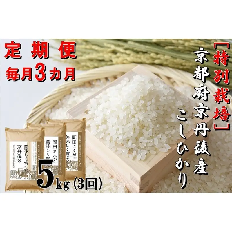 【定期便3か月】特別栽培 京都府京丹後市産こしひかり 岡田さんが美味しく育てた京丹後米5kg×3カ月
