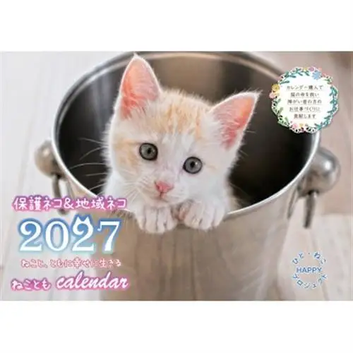 ねこともクッキー＆2027ねこともカレンダー(保護猫＆地域猫)_菓子・スイーツ クッキー    雑貨・日用品  文房具・印鑑 _【1464812】