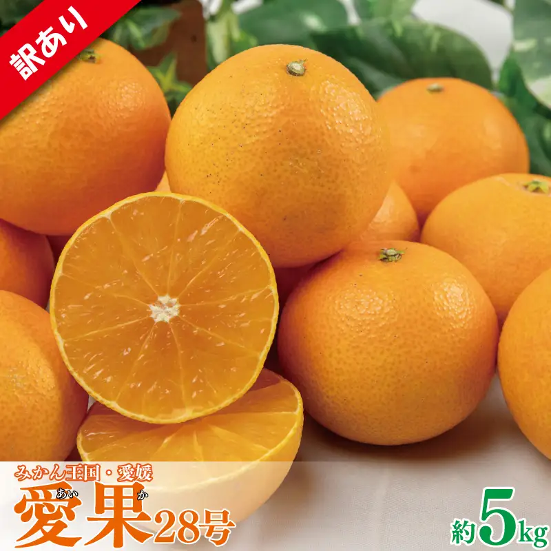 【紅まどんなと同品種】訳あり 愛果28号 約5kg まどんな 【VEG0045】