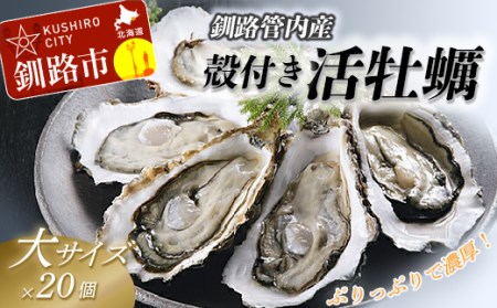 【ぷりっぷりで濃厚！】釧路管内産【活】牡蠣（大）20個 ふるさと納税 牡蠣