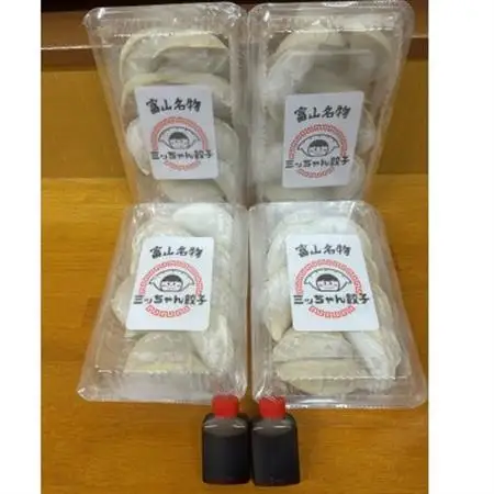 富山名物ミッちゃん餃子　自家製冷凍餃子12個入り4パック_惣菜・加工品 餃子  ぎょうざ ギョウザ_【配送不可地域：離島】【1453894】