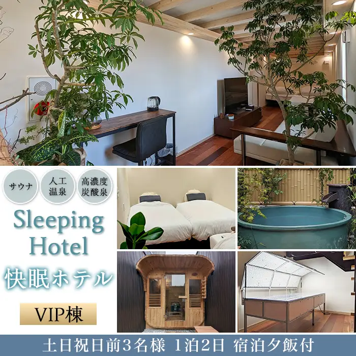 宿泊券 Sleeping Hotel VIP棟 土日祝日前 3名様 1泊2日 夕飯付