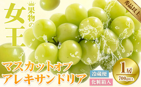 【先行予約】マスカット オブ アレキサンドリア 1房(1房700g以上) 化粧箱入【配送不可地域あり】