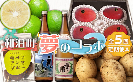 和泊町「夢」のコラボ【5回】定期便Ａ W034-001u 野菜 イモ 定期便