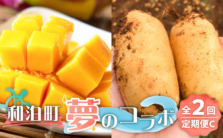 和泊町「夢」のコラボ【2回】定期便Ｃ W034-003u 野菜 イモ 定期便