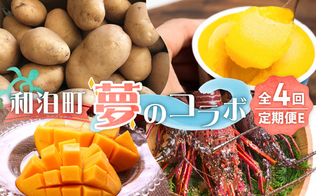 和泊町「夢」のコラボ【4回】定期便Ｅ W034-005u 冷凍 野菜 イモ 定期便