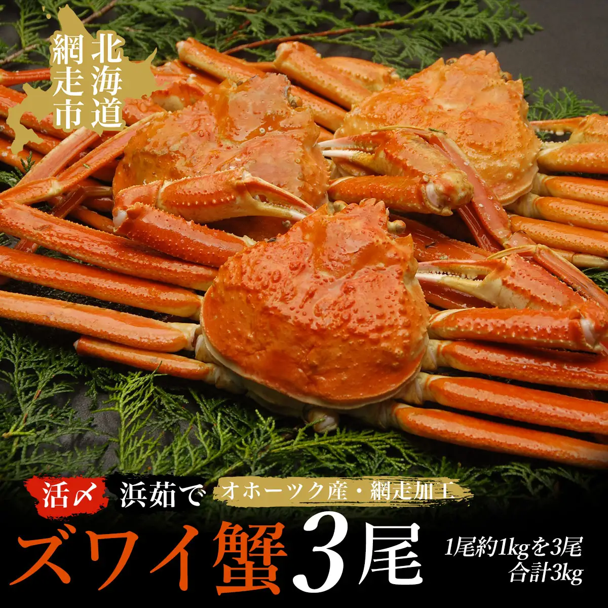 活〆茹でズワイ蟹3尾で約3kgセット(オホーツク海産・網走加工) ABAO2158
