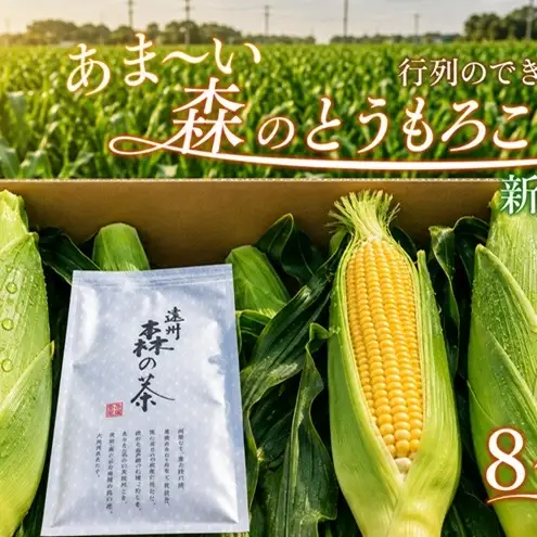 とうもろこし 新茶 セット 8～9本 詰め合わせ とうもろこし | 静岡県
