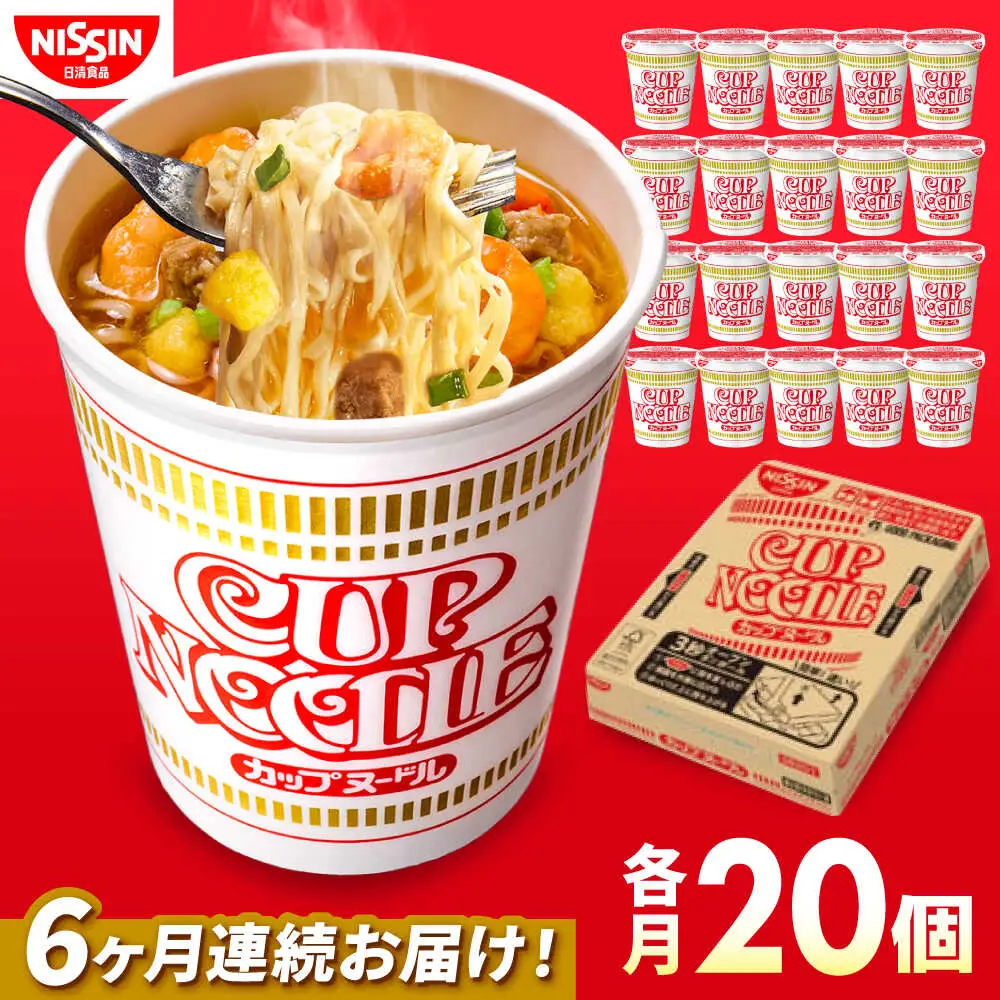 【全6回定期便】日清カップヌードル 20食 BIBI008 カップヌードル