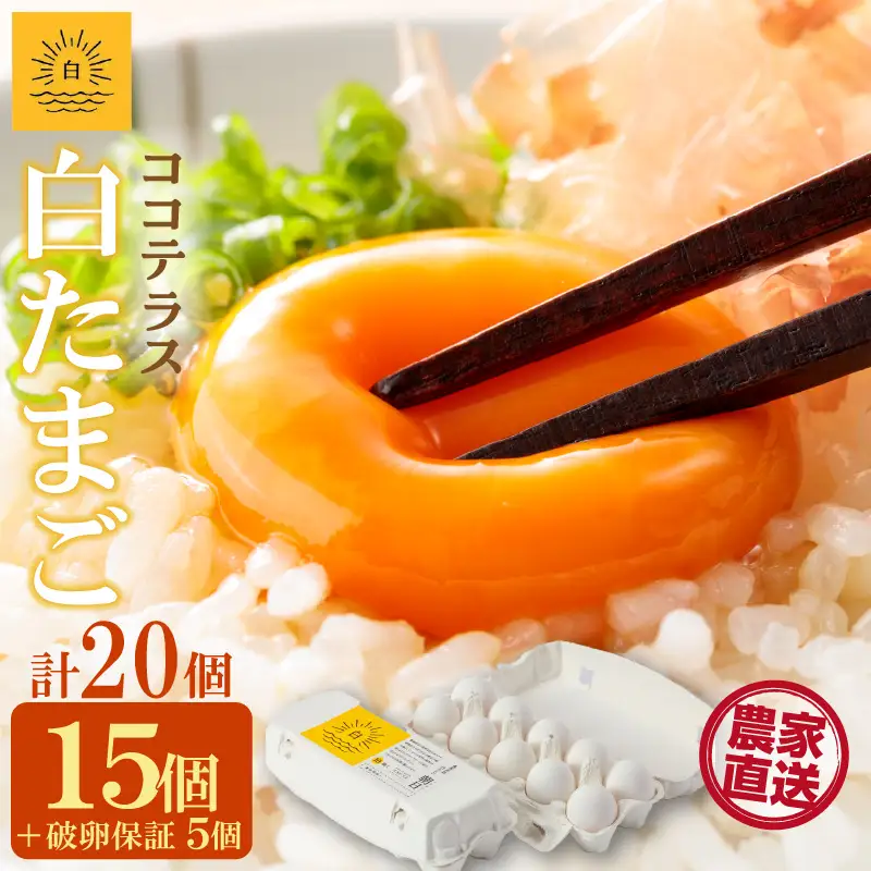 ココテラスの朝日（白たまご）15個 + 5個保証（計20個）【JGAP認証】 農家直送 新鮮 卵 タマゴ 白卵 玉子 鶏卵 朝食 夕食 夜食 朝ごはん たまご焼き だし巻き卵 オムレツ 卵ご飯 料理 濃厚 飼料にこだわった 卵かけご飯 米たまご 生卵 大容量 お取り寄せ 愛知県 常滑市