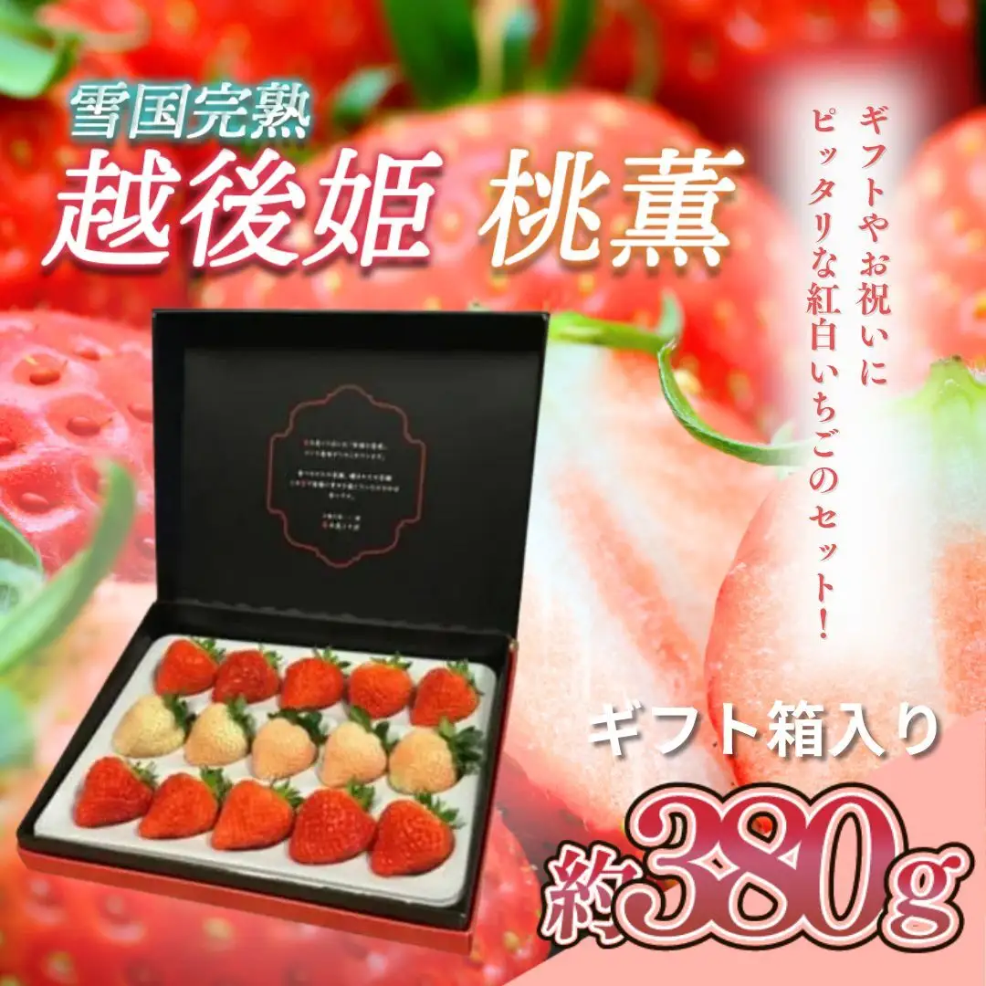 【先行予約】越後姫桃薫 いちご 越後姫 シングル約380g 苺の花ことば