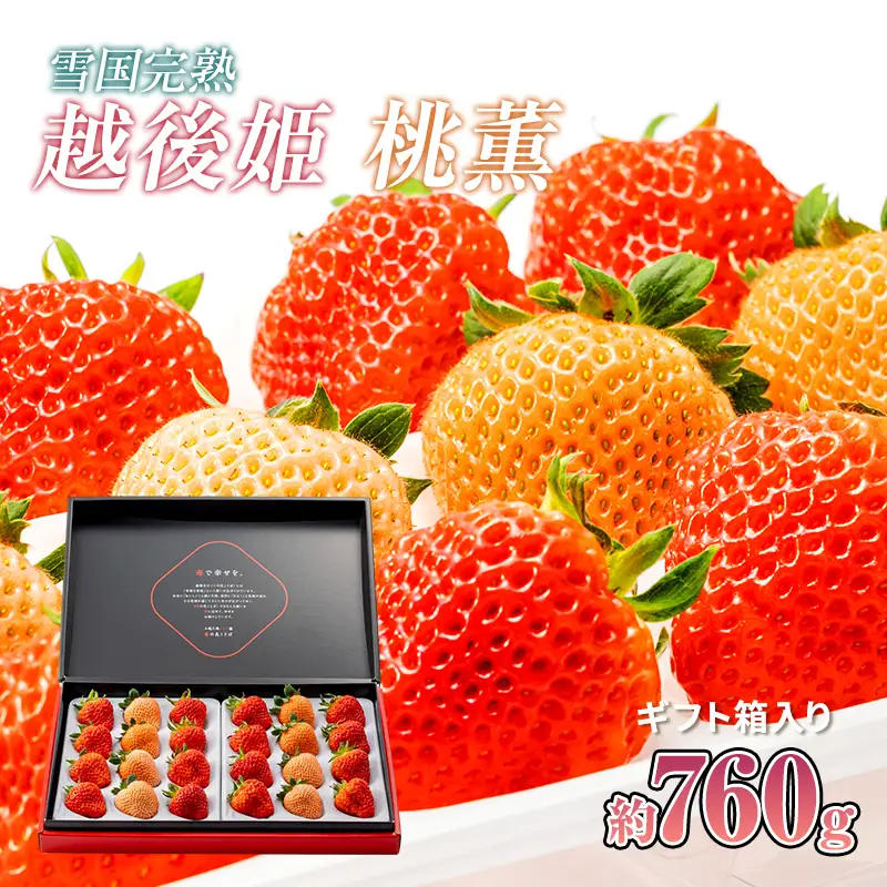 【先行予約】越後姫桃薫 いちご ダブル約760g 越後姫 食べ比べ