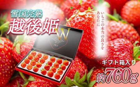 先行予約 いちご 新潟 雪国完熟越後姫ダブル（約760g）ギフト箱入り