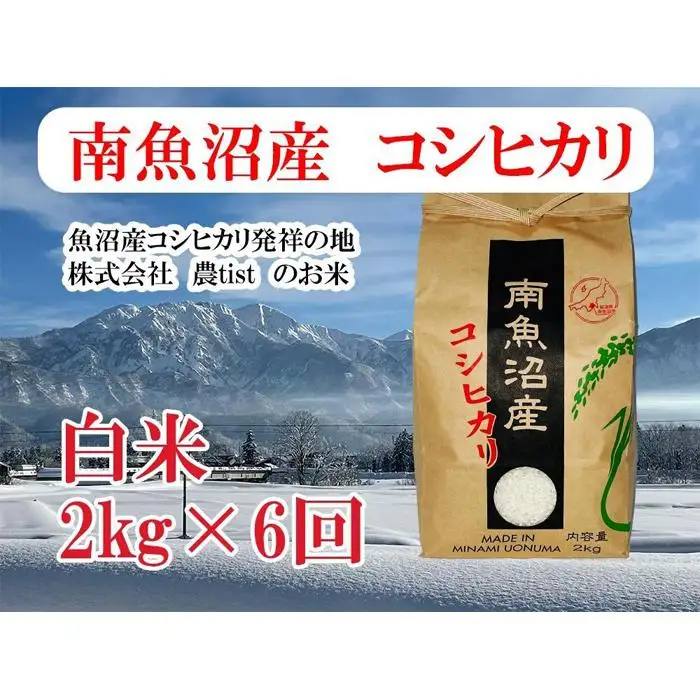 【令和8年 新米】【定期便 南魚沼産】コシヒカリ 白米2kg×6回｜コシヒカリ